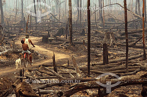  Man with boy on a bicycle and a dog - Fire at Amazon Forest - Amazonas state - Brazil 