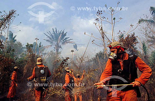  Fireman fighting against a fire at Amazon Forest - Amazonas state - Brazil 