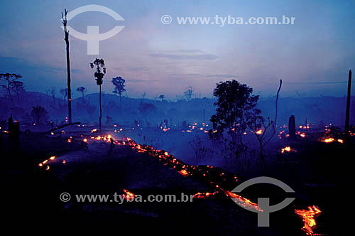  Deforestation - Burning in the Amazonian forest - Amazon - Brazil 