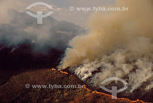  Deforestation - Burning at the National Park of Itatiaia - Atlantic Rainforest - Rio de Janeiro state - Brazil 