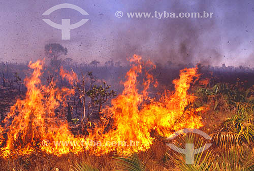  Subject: Fire in Emas National Park / Place: Goias city - Goias state (GO) - Brazil / Date: 2008 