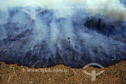 Deforestation - Burning in the Amazonian forest - Amazon - Brazil 