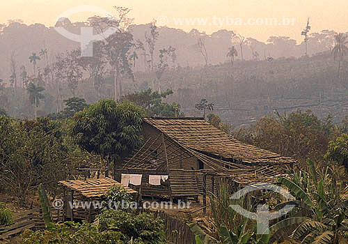  House and forest fire at Amazon Rain Forest - Rondonia state - Brazil 
