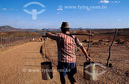  Man carrying buckets with water during drought period in the Northeast of  Brazil  - Oros city - Ceara state (CE) - Brazil