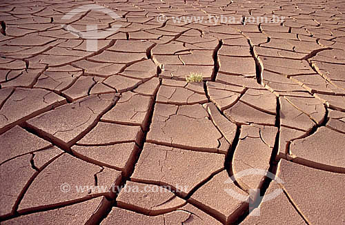  Dry soil at Drought 