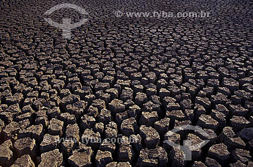  Dry dam detail during the drought - Northeast of Brazil 