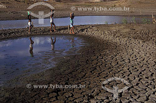  Children searching for water in dry dam during the drought period in the Northeast of Brazil 