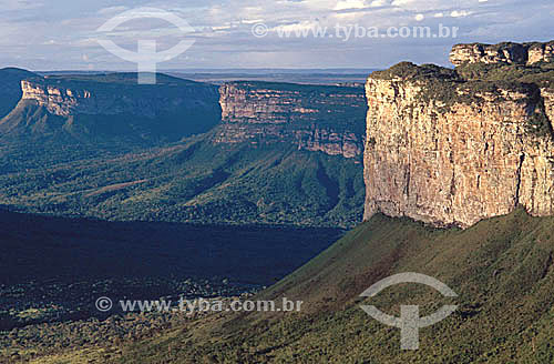  Morro do Camelo Hill - National Park of the Chapada Diamantina - Cerrado ecosystem - Bahia state - Brazil 