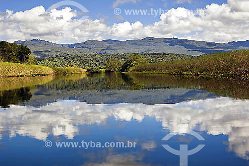  Marimbus do Remanso - a wetlands area in the Chapada Diamantina - Bahia state - Brazil 