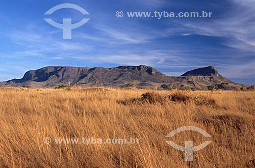  Field - Chapada dos Veadeiros National Park* - Cerrado Region - Goias state - Brazil  * The park is a UNESCO World Heritage Site since 16-12-2001. 