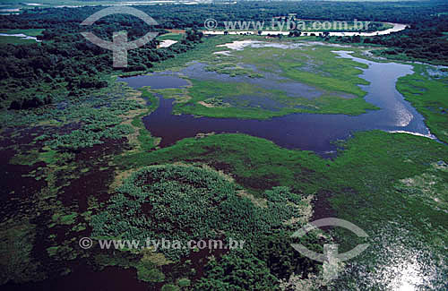  Aerial view of Pantanal region at flood period - Matogrosso state - Brasil 