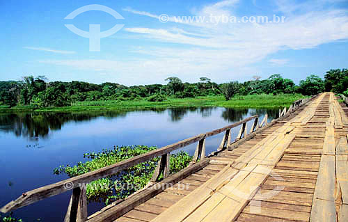  Bridge at Transpantaneira road (road that passes through Pantanal) - Pantanal National Park* - Mato Grosso state - Brazil  * The Pantanal Region in Mato Grosso state is a UNESCO World Heritage Site since 2000. 