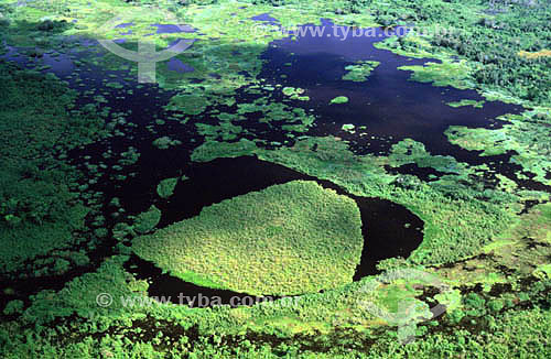 Aereal view of Pantanal  flood period - Pantanal National Park* - Mato Grosso state - Brazil  * The Pantanal Region in Mato Grosso state is a UNESCO World Heritage Site since 2000. 
