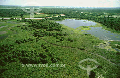  Aereal view - Pantanal National Park* - Mato Grosso state - Brazil  * The Pantanal Region in Mato Grosso state is a UNESCO World Heritage Site since 2000. 