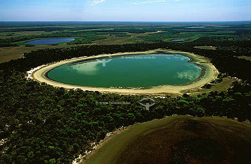  Aerial view of Pantanal showing mineral salt lagoon - Pantanal of Mato Grosso - Mato Grosso do Sul state - Brazil 