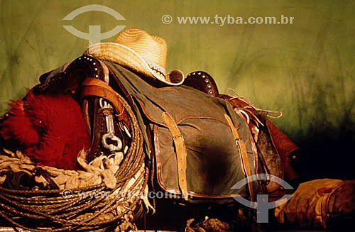  Hat and saddle of a pantanal cowboy - Pantanal ecosystem - Brazil 