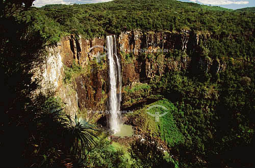  Cachoeira de Sao Francisco (St. Francis Waterfall) - Prudentopolis city - Parana state - Brazil 