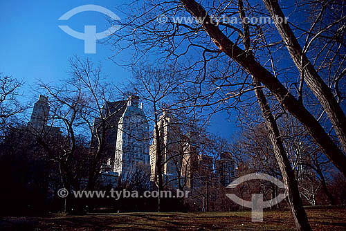  Central Park with buildings in the background - New York city - NY - USA 