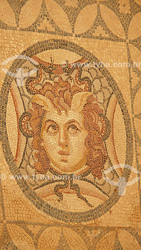  Mosaic of roman habitations - Ephesus - 100 years BC - Turkey - 10/2007 