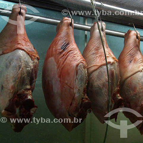  Agro-cattle-raising / Agro Industry / Agro Business : meat in a butcher`s refrigerator, Municipal Market of São Paulo city*, São Paulo state, Brazil. Date: 25 january 2004  * The Municipal Market of São Paulo city is a traditional market builded in  