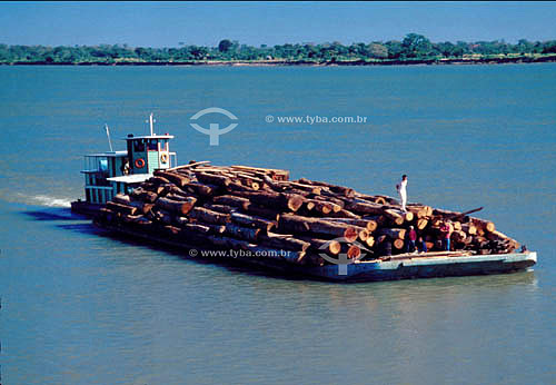  Barge transporting wood on the Parana River - Sao Paulo state - Brazil 