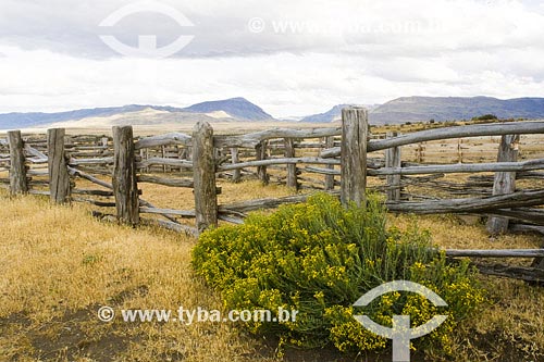  Subject: Wood fence at Alice ranch  Place: Santa Cruz, Patagonia  Country: Argentina Date: 15/01/2007 