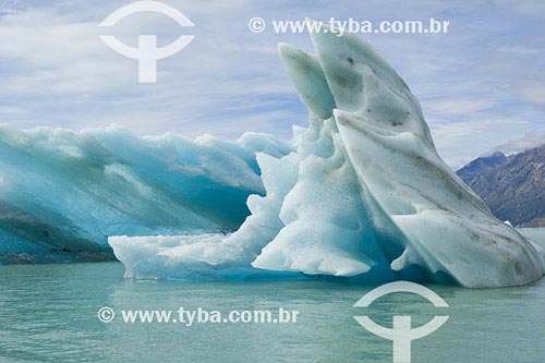  Subject: Iceberg in Viedma Place: Lake Los Glaciares National Park - Patagonia Country: Argentina Date: 22/01/2007 