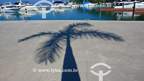  Subject: Shadow of coconut tree on floor, with boats on the background Date: 15/04/2007 