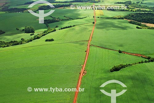 Subject: Aerial view of Soybeans plantation - Agriculture Place: Sao Luiz Gonzaga region - Northwest of Rio Grande do Sul state Date: 03/2008 