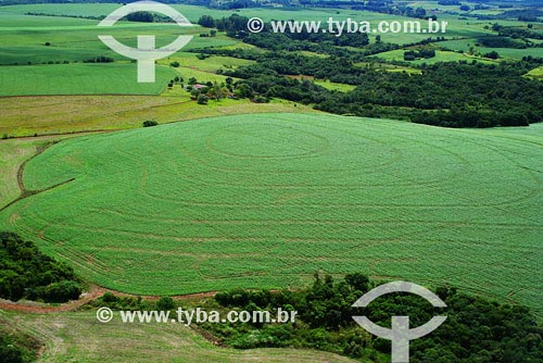  Subject: Aerial view of Soybeans plantation - Agriculture Place: Sao Luiz Gonzaga region - Northwest of Rio Grande do Sul state Date: 03/2008 