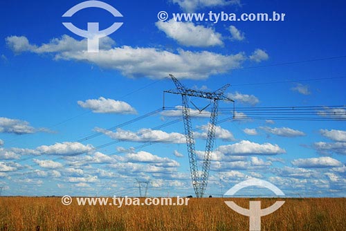  Subject: Transmission lines of electrical energy Place: Rio Grande do Sul state Date: 03/2008  