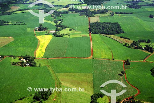  Subject: Aerial view of Soybeans plantation Place: Sao Luiz Gonzaga region - Northwest of Rio Grande do Sul state Date: 03/2008 