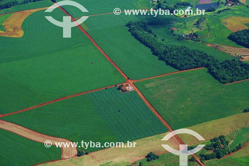  Subject: Aerial view of plantations Place: Sao Luiz Gonzaga region - Northwest of Rio Grande do Sul state Date: 03/2008 