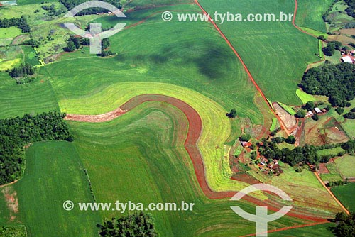 Subject: Aerial view of plantations Place: Sao Luiz Gonzaga region - Northwest of Rio Grande do Sul state Date: 03/2008 