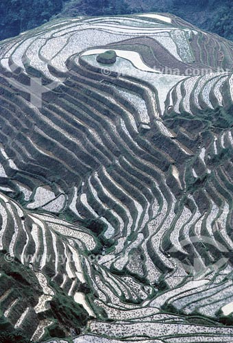  Subject: Rice plantation Place: China 