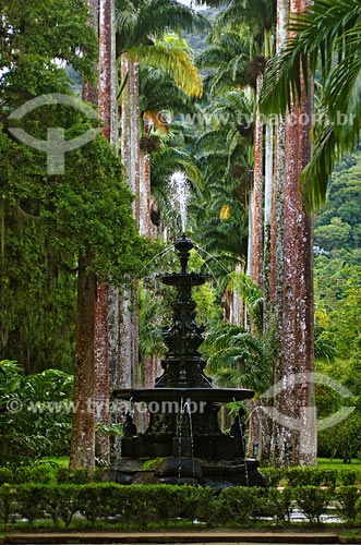  Fountain at Botanical Garden  - Rio de Janeiro city - Rio de Janeiro state (RJ) - Brazil