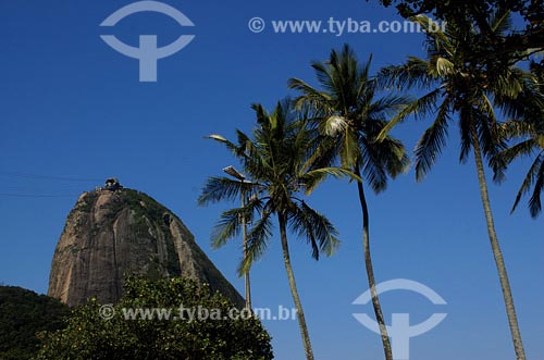  Subject: Sugar Loaf mountain Place: Rio de Janeiro city - Rio de Janeiro state Date: 17/11/2006  
