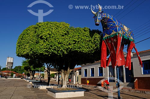  Subject: Rio Branco square / Place: Vitoria de Mearim village - Maranhao state / Date: 08/2008 