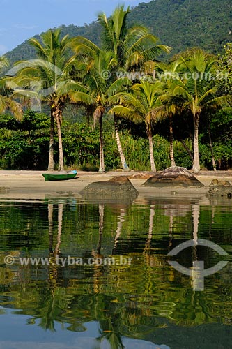  Subject: Coconut palmtrees on beach / Place: Reserva Juatinga, Saco de Mamangua - Paraty town - Rio de Janeiro state / Date: 02/2008 