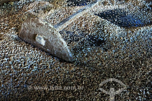  Subject: Flour oven house / Place: Bom Jesus do Tocantins village - Para state / Date: 08/2008 