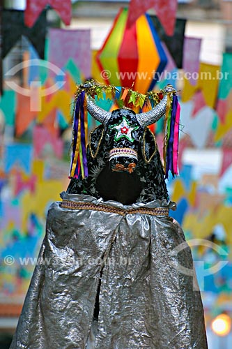  Subject: Person with costume for Bumba-meu-boi folkloric party / Place: Sao Luis city - Maranhao state / Date: 08/2008 