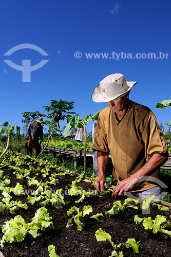  Subject: Green garden / Place: Jaguari village - Vitoria do Mearim region - Maranhao state / Date: 08/2008 