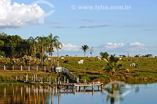  Subject: Road landscape / Place: Bom Jesus do Tocantins town - Para state / Date: 08/2008 