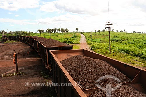  Subject: Cargo train at Carajas railway / Place: Maraba region - Para state / Date: 08/2008 