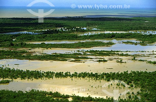  Subject: Aerial photo of Cassuruba island / Place: Marinha de Cassurub - Caravelas region - Bahia state / Date: 2006 