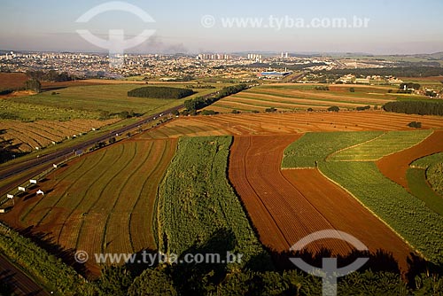  Sugarcane plantation near Ribeirao Preto, Sao Paulo State, Brazil. Plowed land. 