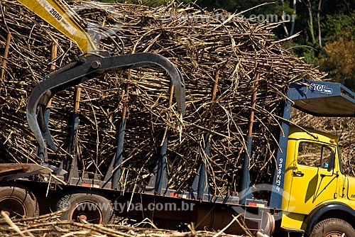  Machinery gathers sugarcane and loads truck for transporting to the mill for ethanol and sugar production. Brazil. 