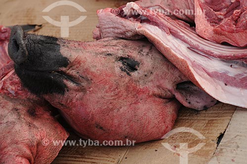  Subject: Dead pig`s head at Ver-o-peso Market (See the Weight Market) / Place: Belem City - Para State - Brazil / Date: 10/10/2008 