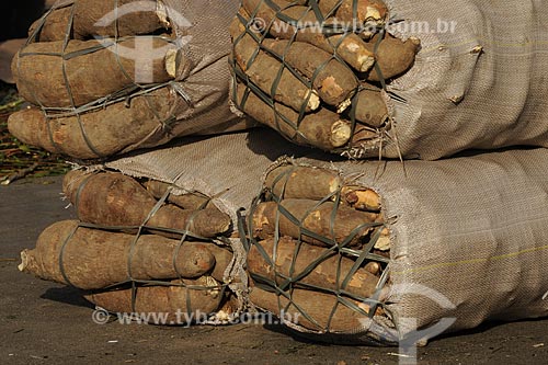  Subject: Mandioca (Manioc) - Ver-o-peso Market (See the Weight Market) / Place: Belem City - Para State - Brazil / Date: 10/10/2008 