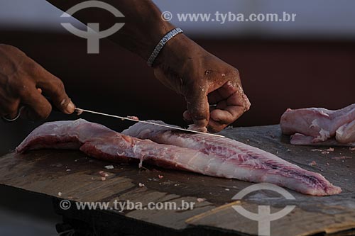  Subject: Fish fair - Ver-o-peso Market (See the Weight Market) / Place: Belem City - Para State - Brazil / Date: 10/13/2008 